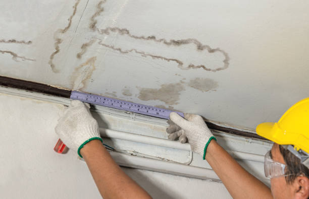 Reliable Mold Remediation contractor in Winnsboro, LA by Water Damage Irwin